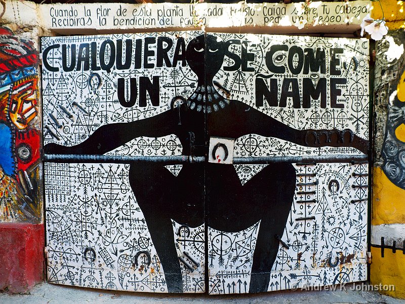 1110_7D_4297.JPG - Calahon de Hamel, home of the Cuban artist "Salvador", HavanaThis is the garage door!